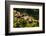 Europe, Italy, Alps, Dolomites, Veneto, Belluno, Selva di Cadore, view from Colle Santa Lucia-Mikolaj Gospodarek-Framed Photographic Print