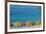 Europe, Italy, Liguria. Summer in Monterosso, Cinque Terre.-Catherina Unger-Framed Photographic Print