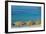 Europe, Italy, Liguria. Summer in Monterosso, Cinque Terre.-Catherina Unger-Framed Photographic Print
