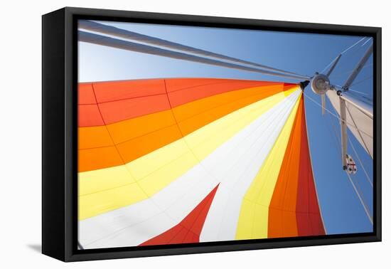 Europe, Italy Mediterranean, Sailboat Spinnaker Colorful Display-Trish Drury-Framed Premier Image Canvas