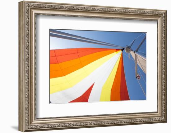 Europe, Italy Mediterranean, Sailboat Spinnaker Colorful Display-Trish Drury-Framed Photographic Print