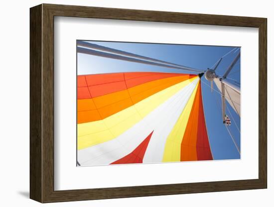 Europe, Italy Mediterranean, Sailboat Spinnaker Colorful Display-Trish Drury-Framed Photographic Print