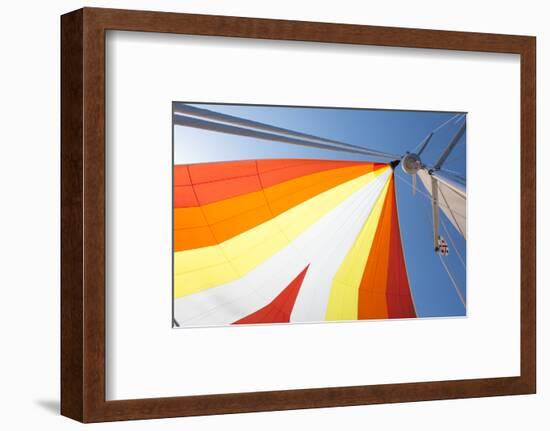 Europe, Italy Mediterranean, Sailboat Spinnaker Colorful Display-Trish Drury-Framed Photographic Print