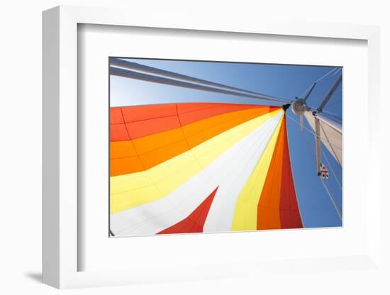 Europe, Italy Mediterranean, Sailboat Spinnaker Colorful Display-Trish Drury-Framed Photographic Print