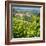 Europe, Italy, Piedmont. View of Barolo surrounded by vineyards-Catherina Unger-Framed Photographic Print