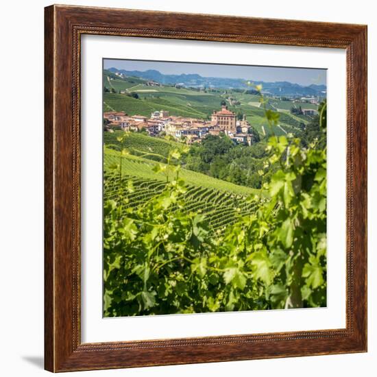 Europe, Italy, Piedmont. View of Barolo surrounded by vineyards-Catherina Unger-Framed Photographic Print