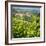 Europe, Italy, Piedmont. View of Barolo surrounded by vineyards-Catherina Unger-Framed Photographic Print