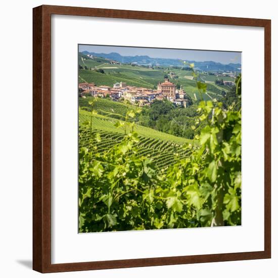 Europe, Italy, Piedmont. View of Barolo surrounded by vineyards-Catherina Unger-Framed Photographic Print