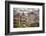 Europe, Italy, Rome. Ruins of Roman Temple of Saturn.-Jaynes Gallery-Framed Photographic Print