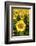 Europe, Italy, Tuscan Sunflowers-John Ford-Framed Photographic Print