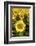 Europe, Italy, Tuscan Sunflowers-John Ford-Framed Photographic Print