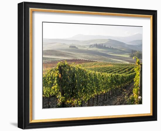 Europe, Italy, Tuscany. Autumn Vineyards in Bright Colors-Julie Eggers-Framed Photographic Print