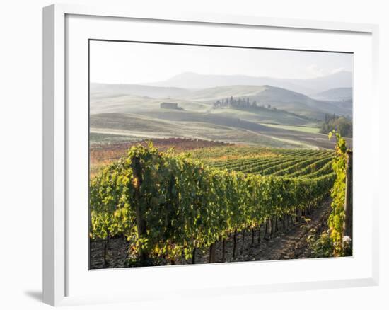 Europe, Italy, Tuscany. Autumn Vineyards in Bright Colors-Julie Eggers-Framed Photographic Print