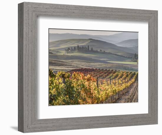 Europe, Italy, Tuscany. Autumn Vineyards in Bright Colors-Julie Eggers-Framed Photographic Print