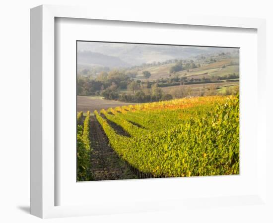 Europe, Italy, Tuscany. Autumn Vineyards in Bright Colors-Julie Eggers-Framed Photographic Print