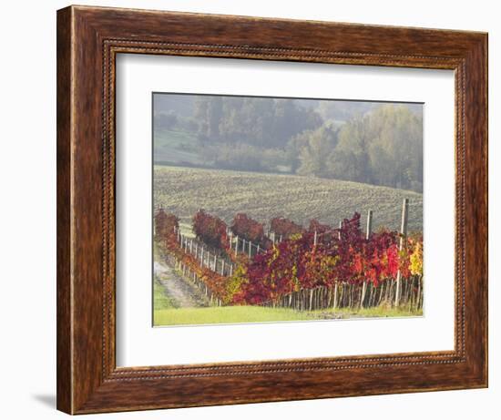 Europe, Italy, Tuscany. Autumn Vineyards in Bright Colors-Julie Eggers-Framed Photographic Print