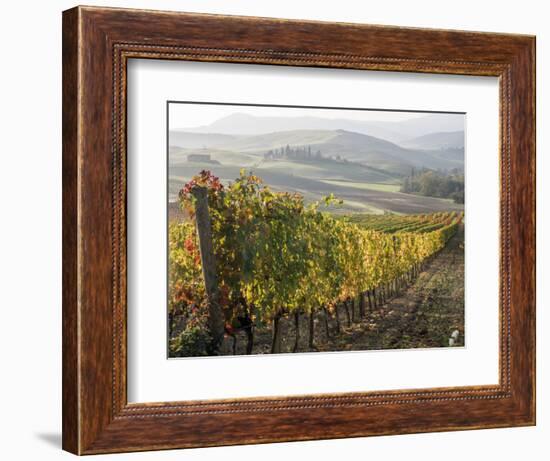 Europe, Italy, Tuscany. Autumn Vineyards in Bright Colors-Julie Eggers-Framed Photographic Print