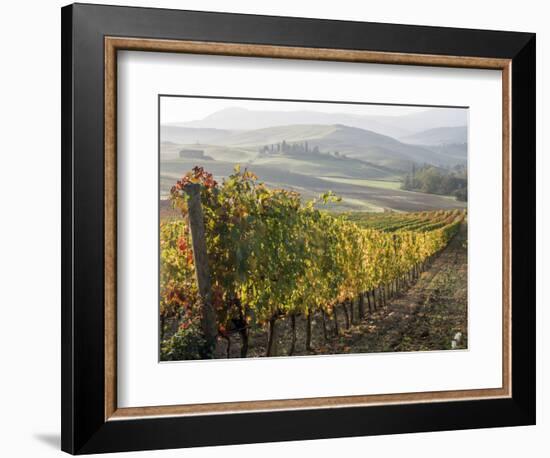 Europe, Italy, Tuscany. Autumn Vineyards in Bright Colors-Julie Eggers-Framed Photographic Print