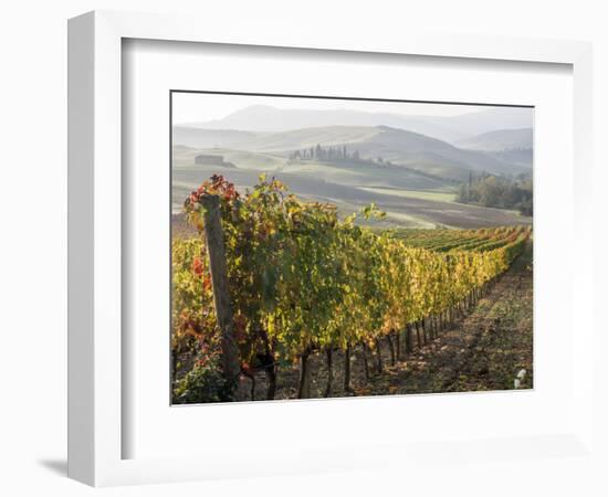 Europe, Italy, Tuscany. Autumn Vineyards in Bright Colors-Julie Eggers-Framed Photographic Print