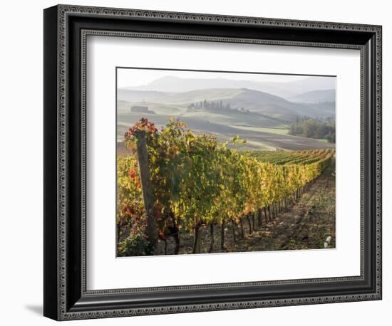 Europe, Italy, Tuscany. Autumn Vineyards in Bright Colors-Julie Eggers-Framed Photographic Print