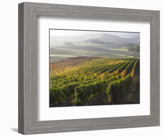 Europe, Italy, Tuscany. Autumn Vineyards in Bright Colors-Julie Eggers-Framed Photographic Print