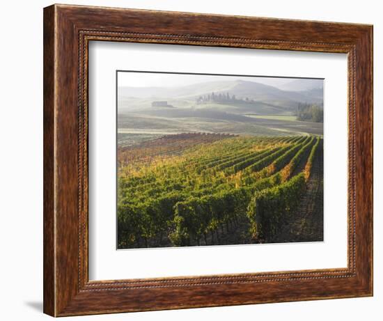 Europe, Italy, Tuscany. Autumn Vineyards in Bright Colors-Julie Eggers-Framed Photographic Print