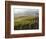 Europe, Italy, Tuscany. Autumn Vineyards in Bright Colors-Julie Eggers-Framed Photographic Print