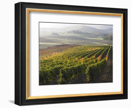 Europe, Italy, Tuscany. Autumn Vineyards in Bright Colors-Julie Eggers-Framed Photographic Print