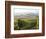 Europe, Italy, Tuscany. Autumn Vineyards in Bright Colors-Julie Eggers-Framed Photographic Print