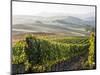 Europe, Italy, Tuscany. Autumn Vineyards in Bright Colors-Julie Eggers-Mounted Photographic Print