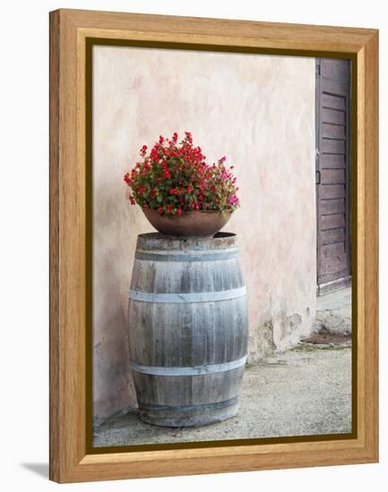 Europe, Italy, Tuscany. Flower Pot on Old Wine Barrel at Winery-Julie Eggers-Framed Premier Image Canvas