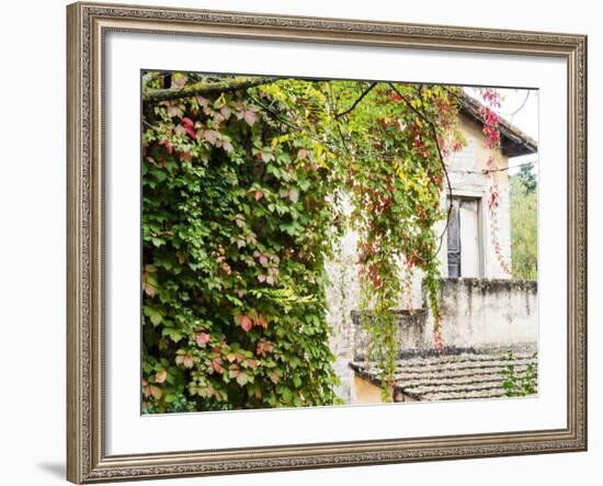 Europe, Italy, Tuscany. Ivy Covered House in the Town of Impruneta-Julie Eggers-Framed Photographic Print