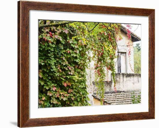 Europe, Italy, Tuscany. Ivy Covered House in the Town of Impruneta-Julie Eggers-Framed Photographic Print