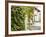 Europe, Italy, Tuscany. Ivy Covered House in the Town of Impruneta-Julie Eggers-Framed Photographic Print