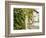 Europe, Italy, Tuscany. Ivy Covered House in the Town of Impruneta-Julie Eggers-Framed Photographic Print