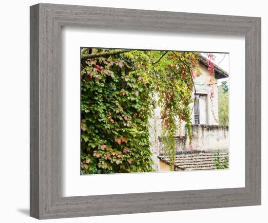 Europe, Italy, Tuscany. Ivy Covered House in the Town of Impruneta-Julie Eggers-Framed Photographic Print