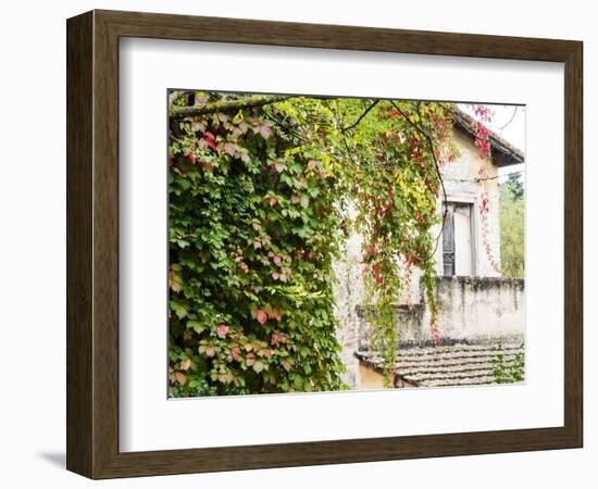 Europe, Italy, Tuscany. Ivy Covered House in the Town of Impruneta-Julie Eggers-Framed Photographic Print