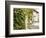 Europe, Italy, Tuscany. Ivy Covered House in the Town of Impruneta-Julie Eggers-Framed Photographic Print