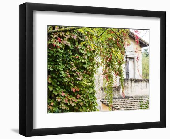 Europe, Italy, Tuscany. Ivy Covered House in the Town of Impruneta-Julie Eggers-Framed Photographic Print