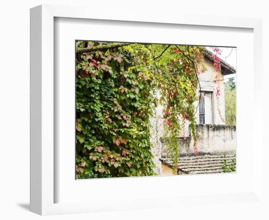 Europe, Italy, Tuscany. Ivy Covered House in the Town of Impruneta-Julie Eggers-Framed Photographic Print