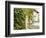 Europe, Italy, Tuscany. Ivy Covered House in the Town of Impruneta-Julie Eggers-Framed Photographic Print