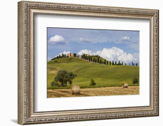 Europe, Italy, Tuscany, Landscape in Le Crete-Gerhard Wild-Framed Photographic Print