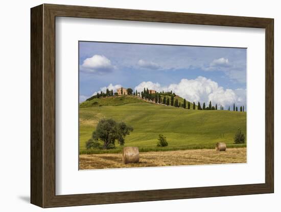 Europe, Italy, Tuscany, Landscape in Le Crete-Gerhard Wild-Framed Photographic Print