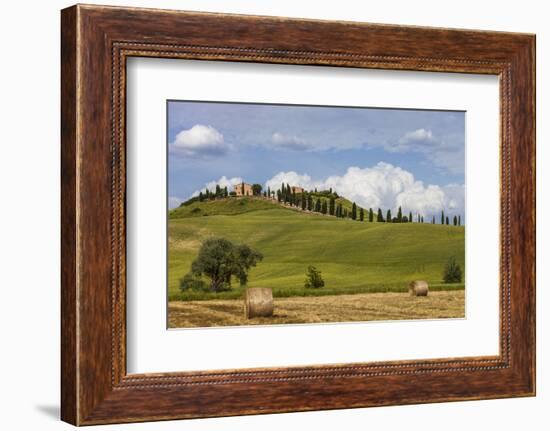 Europe, Italy, Tuscany, Landscape in Le Crete-Gerhard Wild-Framed Photographic Print