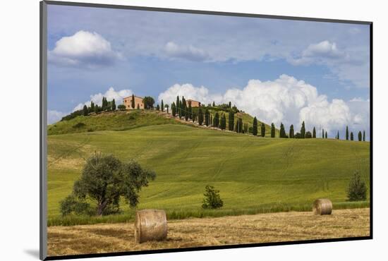 Europe, Italy, Tuscany, Landscape in Le Crete-Gerhard Wild-Mounted Photographic Print