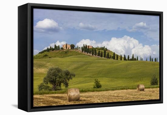 Europe, Italy, Tuscany, Landscape in Le Crete-Gerhard Wild-Framed Premier Image Canvas