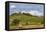 Europe, Italy, Tuscany, Landscape in Le Crete-Gerhard Wild-Framed Premier Image Canvas