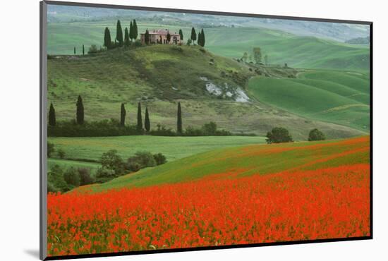 Europe, Italy, Tuscany. The Belvedere villa landmark and farmland.-Jaynes Gallery-Mounted Photographic Print