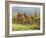 Europe, Italy, Tuscany. Vineyard in the Chianti Region of Tuscany-Julie Eggers-Framed Photographic Print