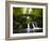 Europe, Luxembourg, Mullerthal - Schiessentümpel Waterfall-Aliaume Chapelle-Framed Photographic Print